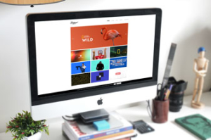 Sito Web Flopicco