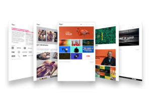 Pagine sito web Flopicco