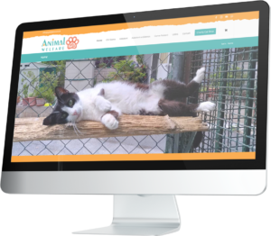 I gatti del Verano e-commerce