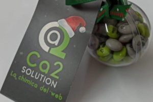 Natale 2022 Ca2 Solution