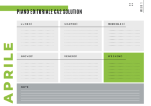 Piano editoriale Ca2 Solution