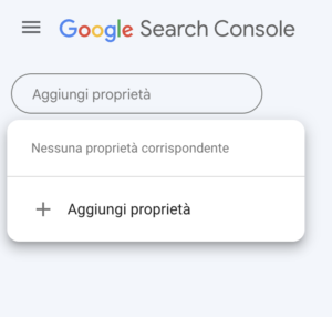 Aggiungi proprieta search console google